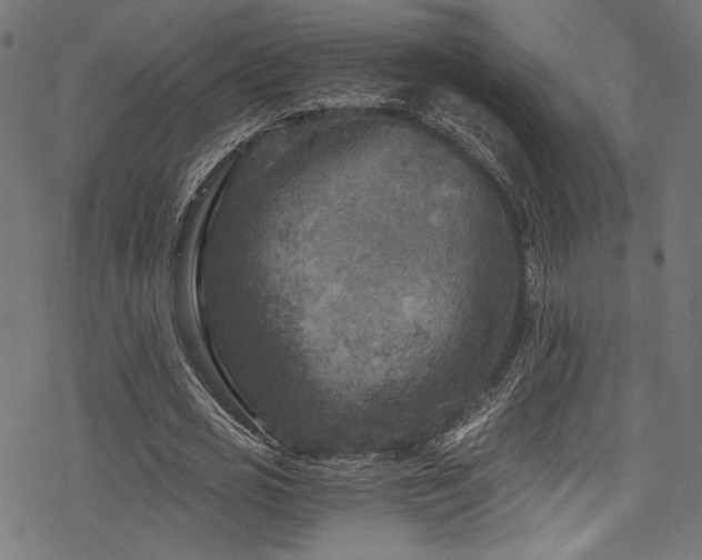 X0000078300725200611031256