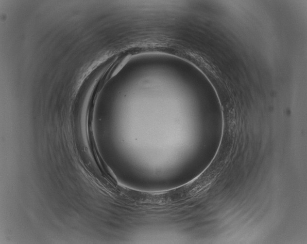 X0000078300727200611031256