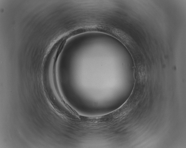 X0000078300728200611031256