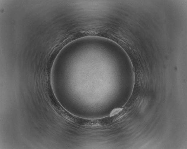 X0000078300747200611031256