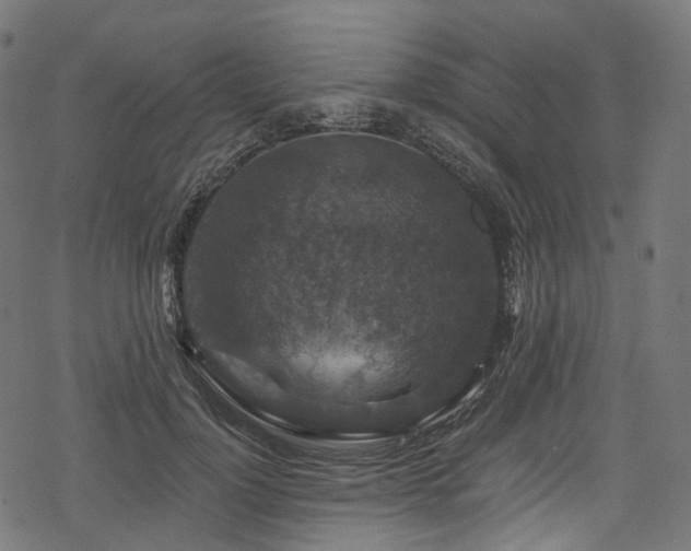X0000078300748200611031256