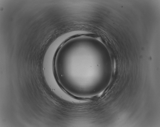 X0000078300750200611031256