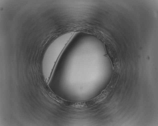 X0000078300756200611031256