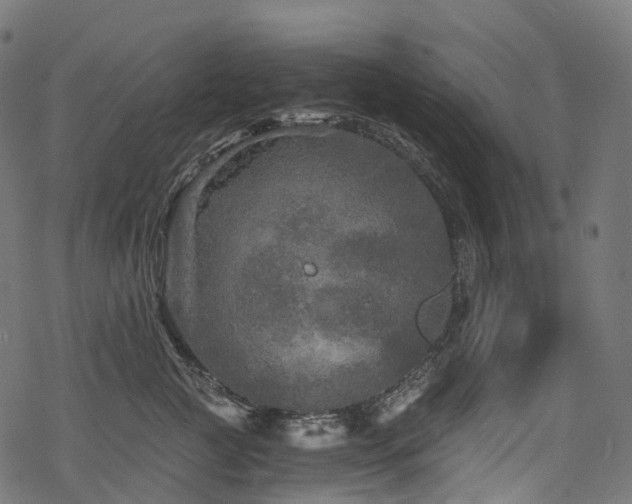 X0000078300761200611031256