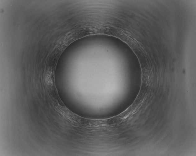 X0000078300770200611031256