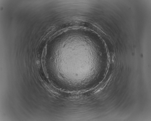 X0000078300771200611031256
