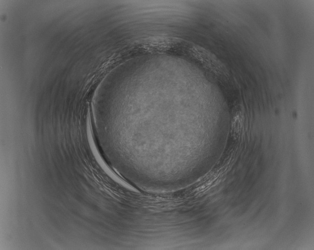X0000078300772200611031256