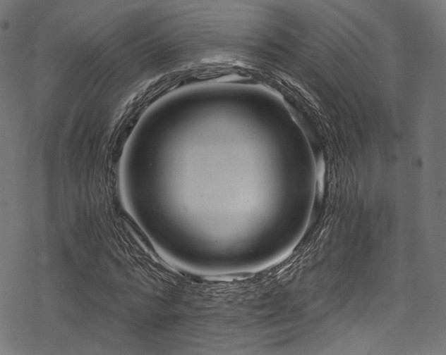 X0000078300776200611031255