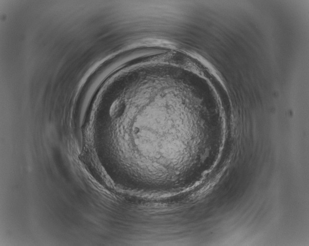X0000078300783200611031255