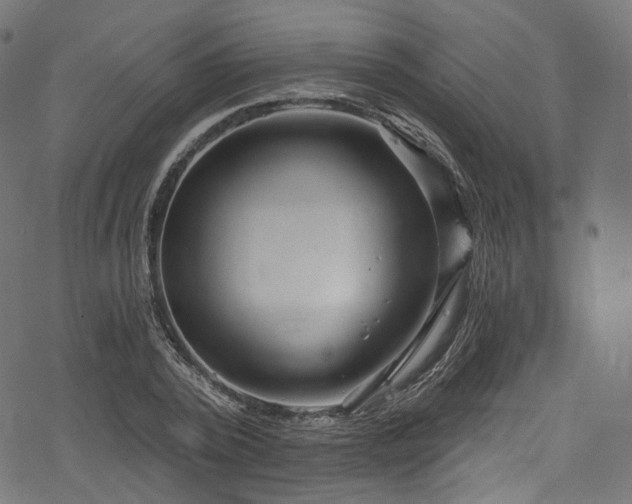 X0000078300784200611031255