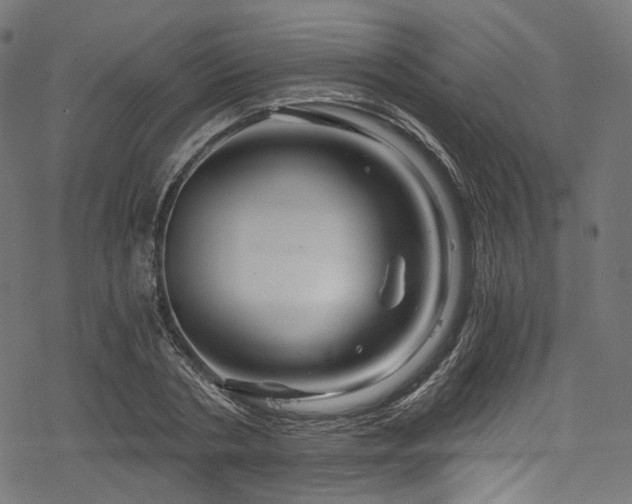 X0000078300786200611031255