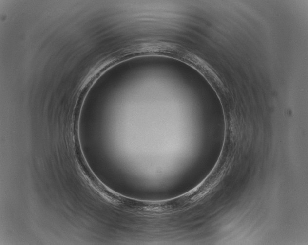 X0000078300794200611031255