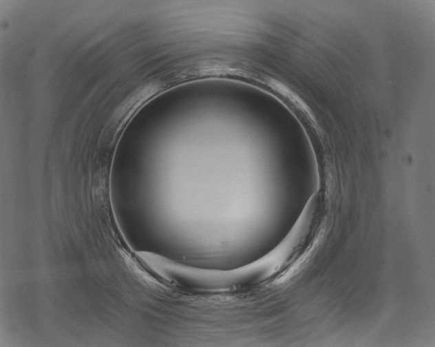 X0000078300801200611031255