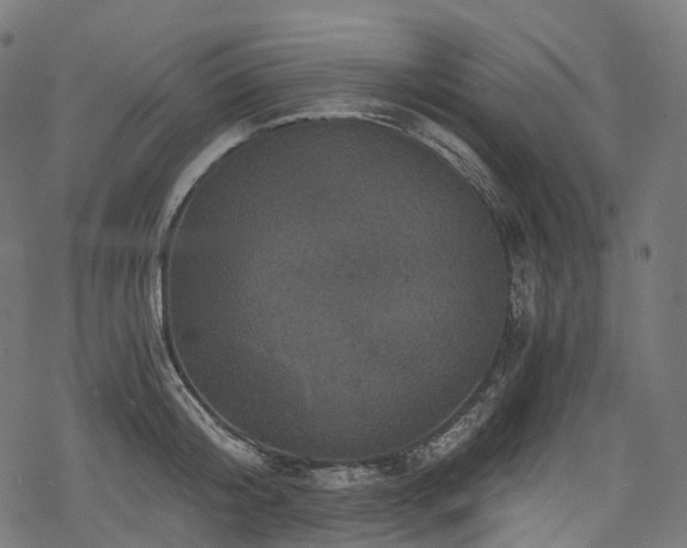 X0000078300804200611031255
