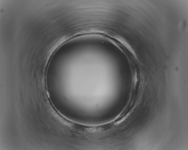X0000078300805200611031255