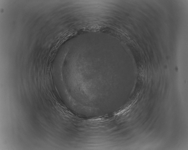 X0000078300818200611031254