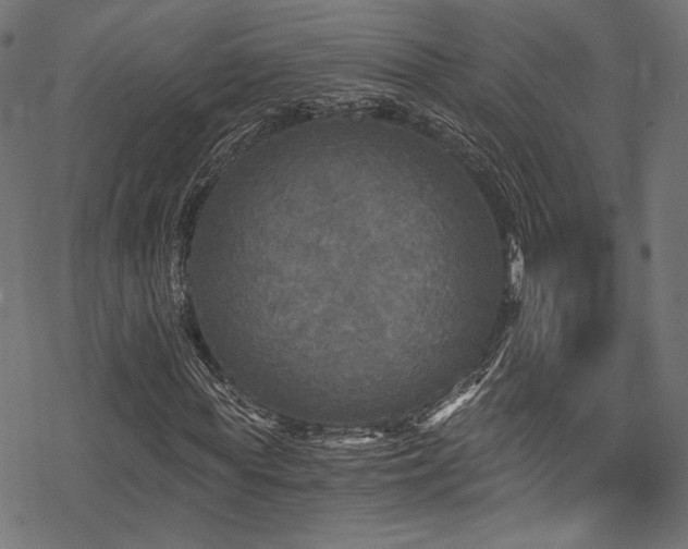 X0000078300819200611031254