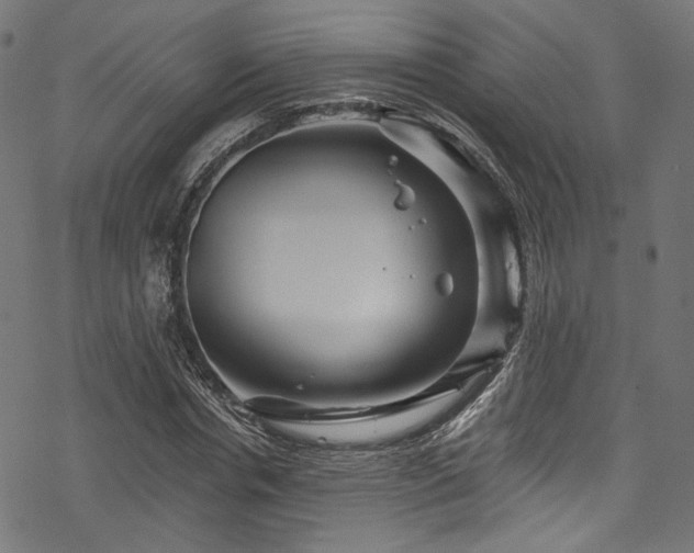 X0000078300826200611031254