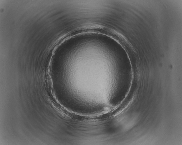 X0000078300833200611031254