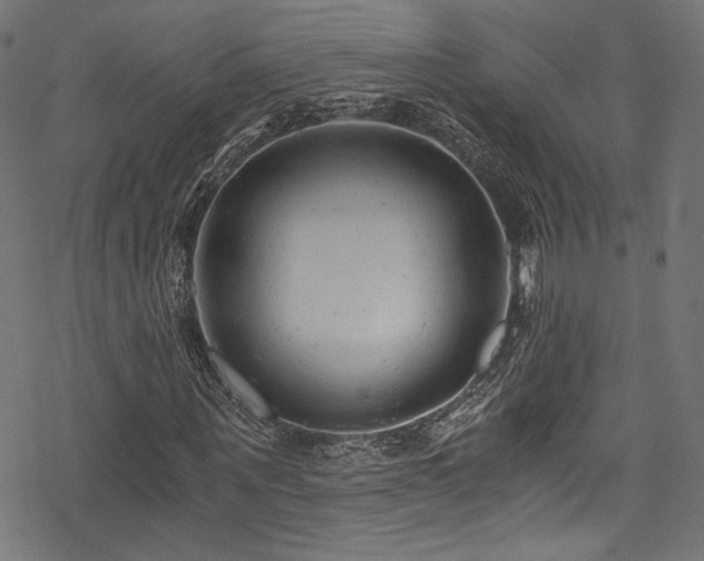 X0000078300867200611031254