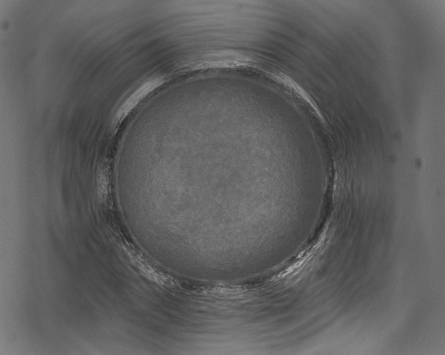 X0000078300874200611031254