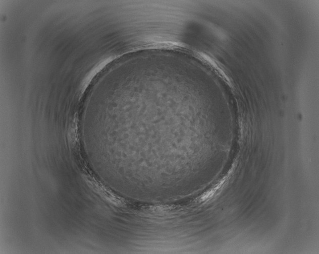 X0000078300875200611031254