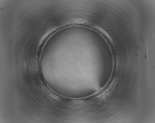 X0000078300878200611031254