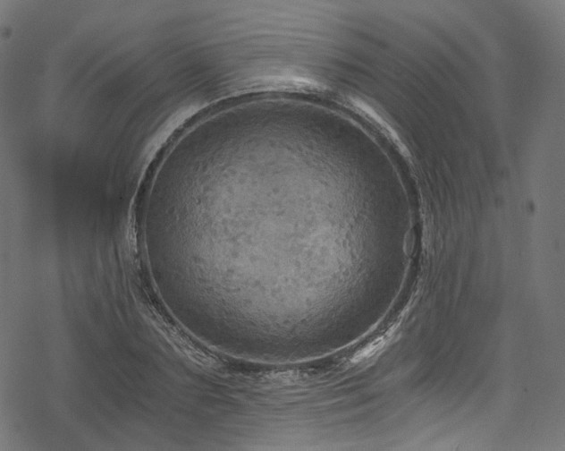 X0000078300883200611031254