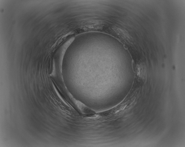 X0000078300915200611031253