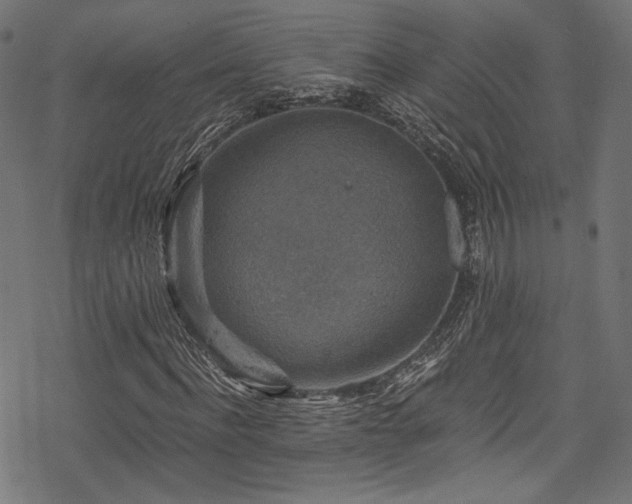 X0000078300916200611031253