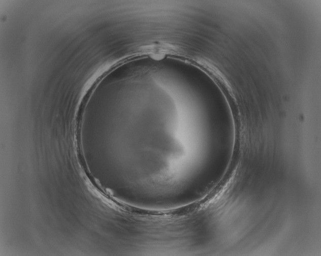 X0000078300941200611031253