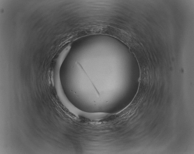 X0000078300962200611031252