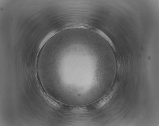 X0000078301002200611031252