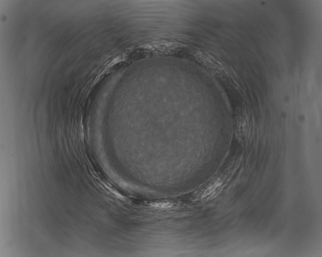 X0000078301010200611031251