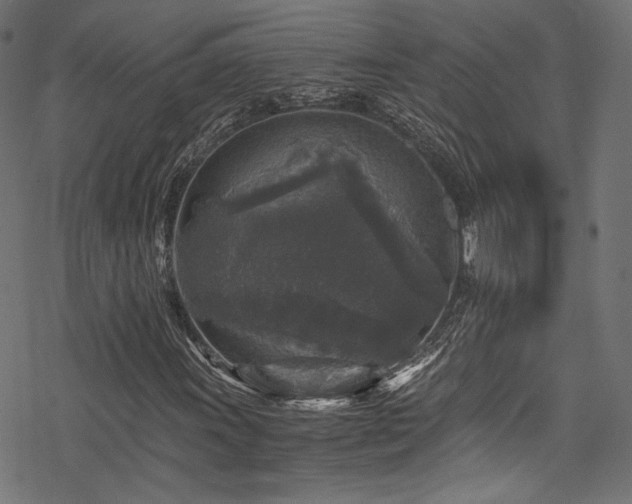 X0000078301011200611031251