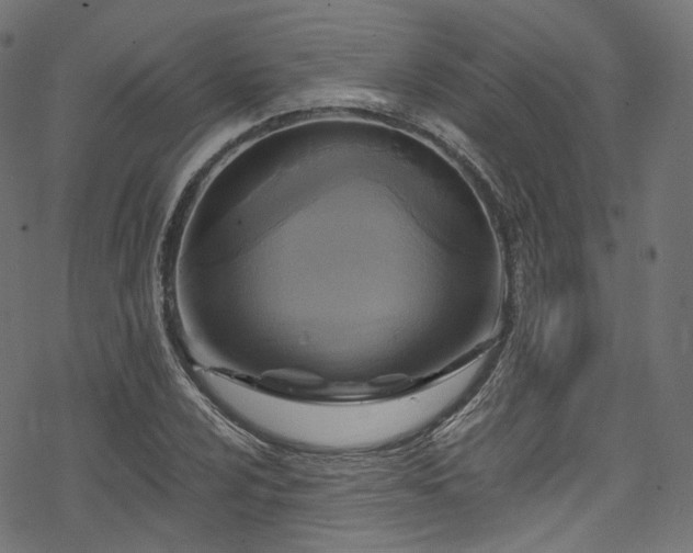 X0000078301024200611031251