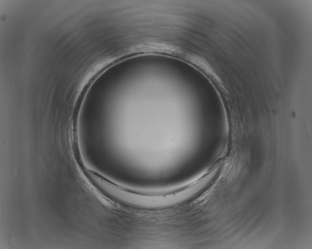 X0000078301040200611031251