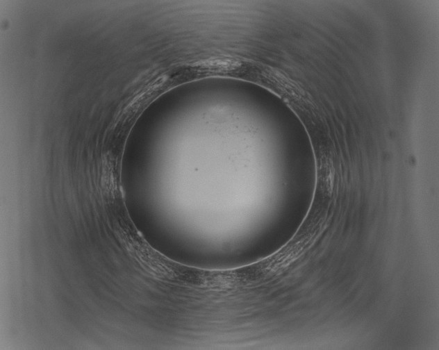 X0000078301058200611031251