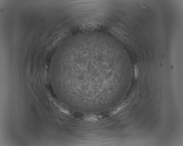 X0000078301059200611031251