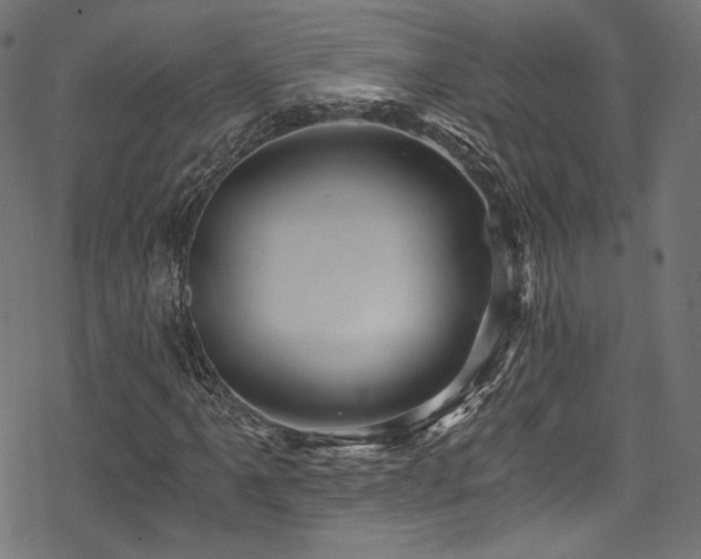 X0000078301061200611031251