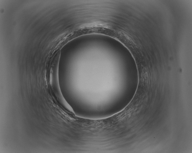 X0000078301062200611031251