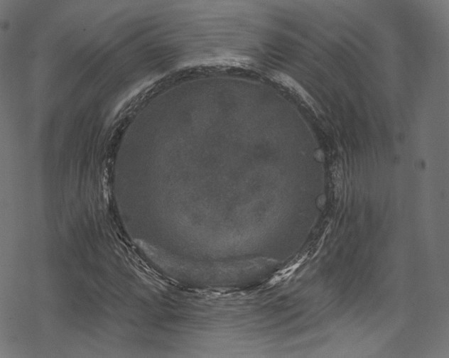 X0000078301064200611031251