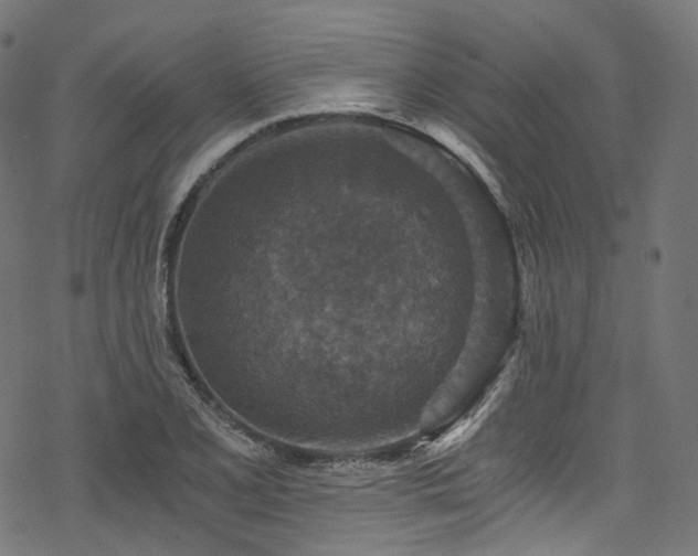 X0000078301077200611031251