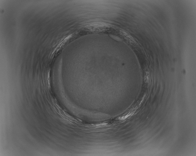 X0000078301108200611031249