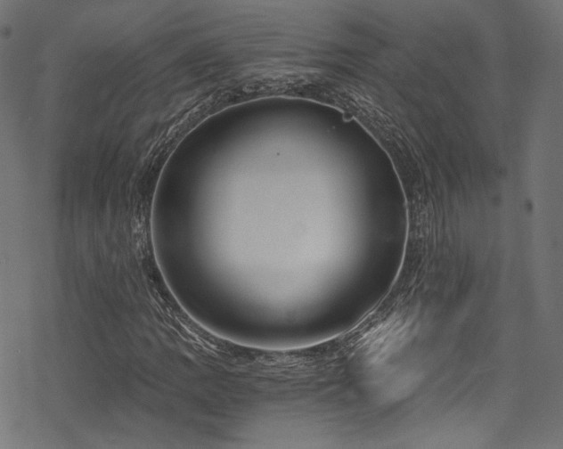 X0000078301109200611031249