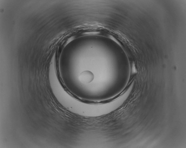 X0000078301110200611031249