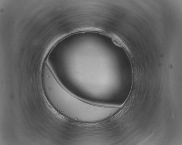 X0000078301140200611031250