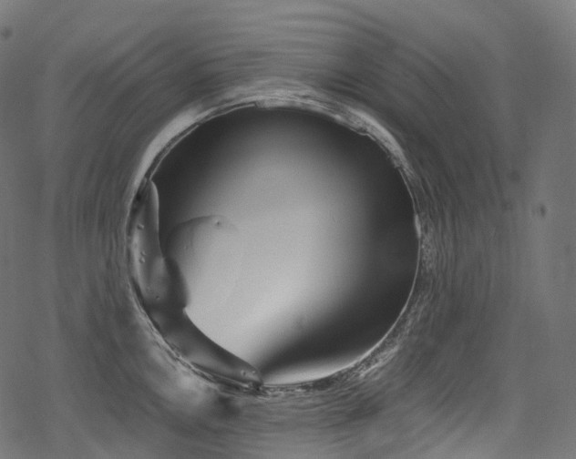 X0000078301146200611031250