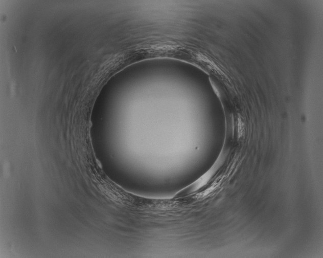 X0000078301153200611031249