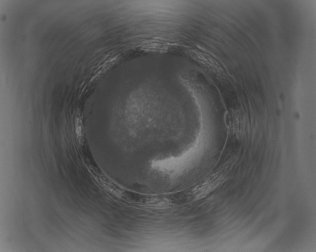 X0000078301154200611031249